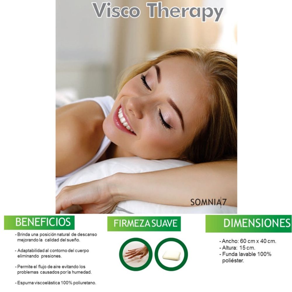 ALMOHADA VISCO THERAPY 